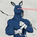 kangaroofightsociety#1630