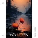 Walden371