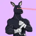 kangaroofightsociety#2753
