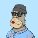 ChilledKong1228