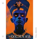 GoldenAss373