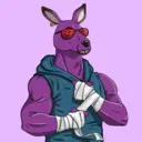 kangaroofightsociety#3397