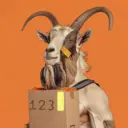 Goat01467