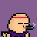 pixel seal 2041