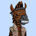 ZESTYZEBRA2576