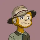 SocialApe646