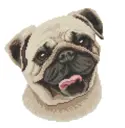 PUG