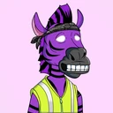 ZESTYZEBRA2486