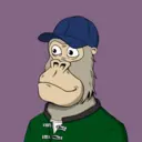 ChilledKong0386