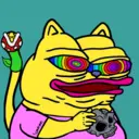 CHONKS562