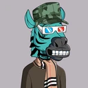 ZESTYZEBRA999