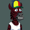 ZESTYZEBRA5422