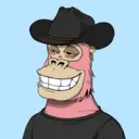 ChilledKong7102
