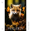 Walden661