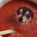 PUPPER SAUCE