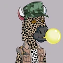 ZESTYZEBRA2978