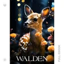 Walden668