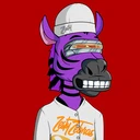 ZESTYZEBRA671