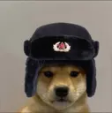 dogewifhat