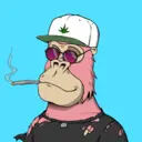 ChilledKong8230