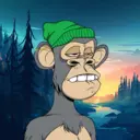 CardanoBoredApe3802