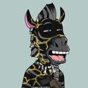 ZESTYZEBRA1468