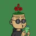 Flowerboy50