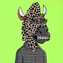 ZESTYZEBRA906