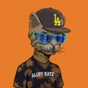 ALLEYKATZ00991