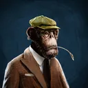 adapeHaltonRich