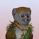 GaiaMadasLemur0435