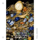 HardyBoys1...