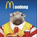 McMooDeng