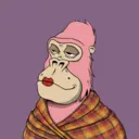 ChilledKong5007
