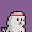 pixel seal 1243