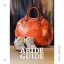 AbideGuide376