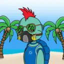 TTSTurtle3960