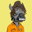 ZESTYZEBRA4109