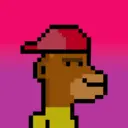 MoneyWifhat2355