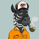 ZESTYZEBRA2085