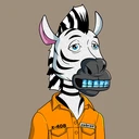 ZESTYZEBRA4409