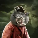 adapigNike1611