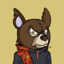 SavageBears1923