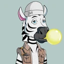 ZESTYZEBRA1603