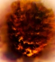 Dragonfire