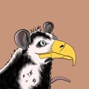 Possum #2994