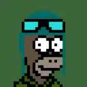 HomerPunks9165