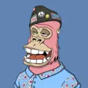ChilledKong1744