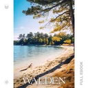 Walden311