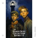 HardyBoys1...